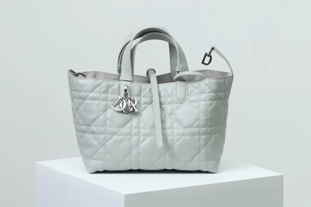 Dior Bag 